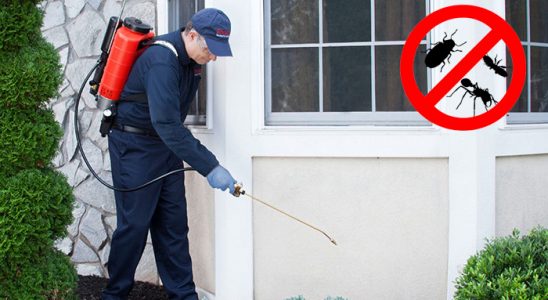 Gazipaşa Karınca İlaçlama böcek ilaçlama ve haşere kontrolü — ilaclama-tr.com